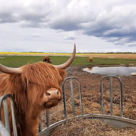 Moewenhorst Apartamento Fehmarn